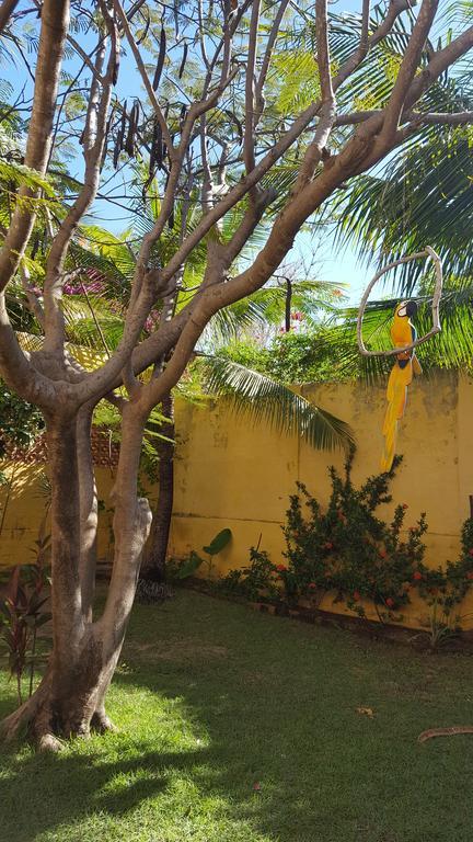 Pousada Agua Marinha Canoa Quebrada Ngoại thất bức ảnh